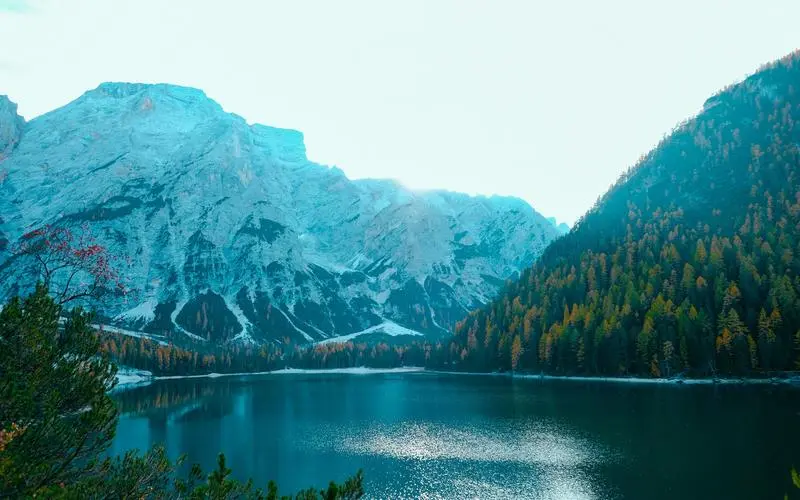 高端高端